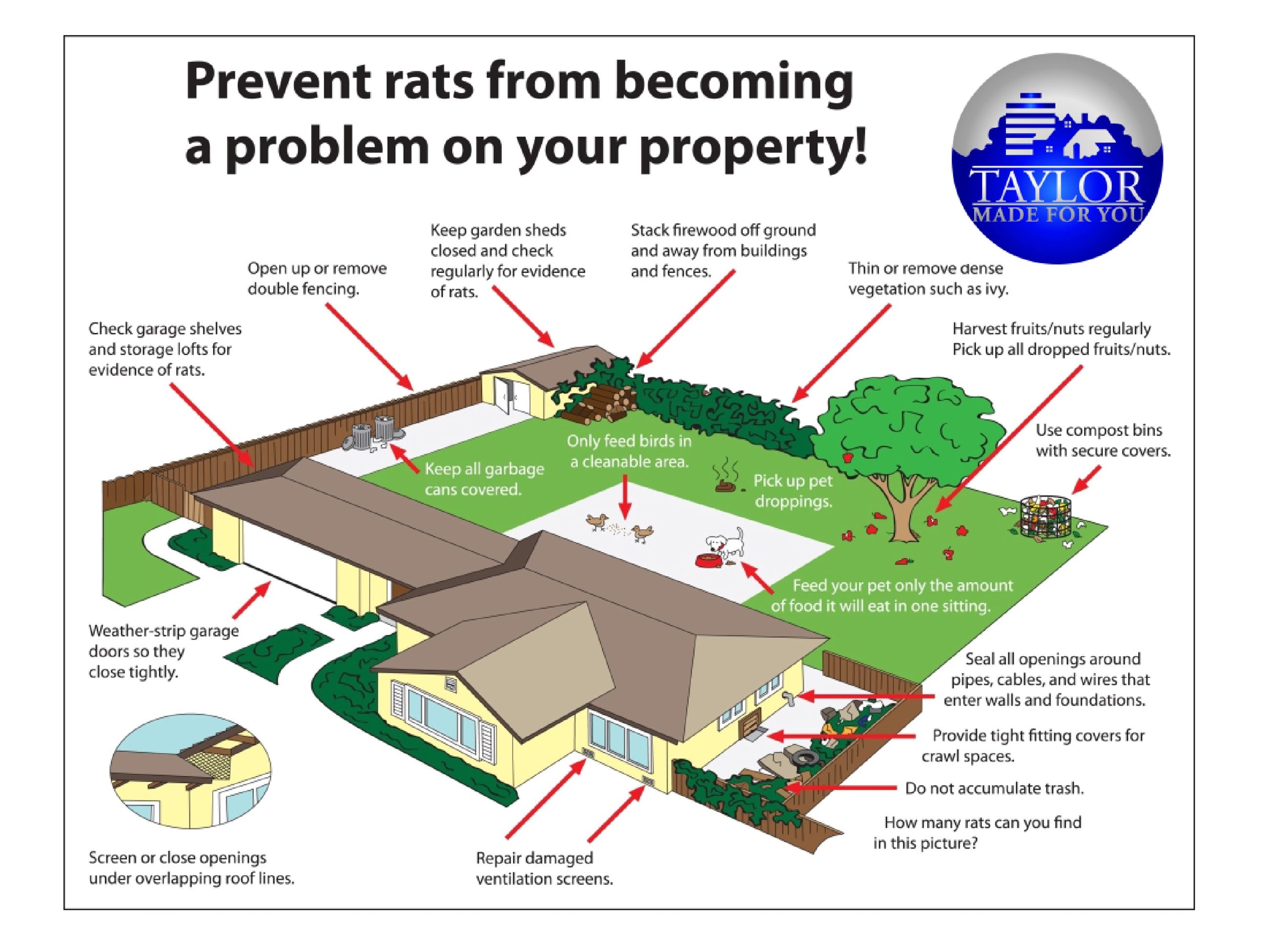 Rat Prevention in Taylor informational Flyer. Tips on image are descried on the page below.