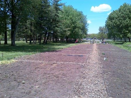 A large stretch of soil lined with trees.